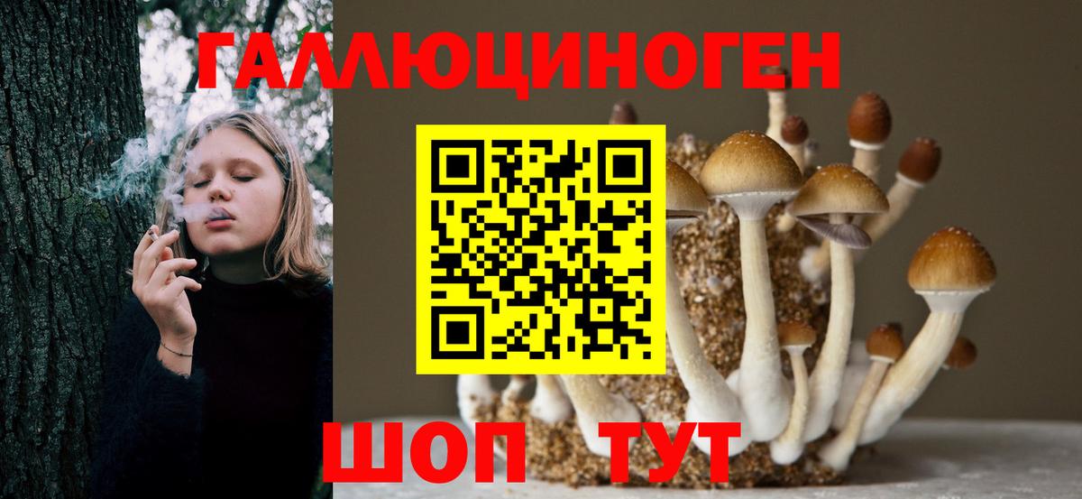 Псилоцибиновые грибы мицелий  Псилоцибиновые грибы Psilocybe  Вход с VPN  Северобайкальск 